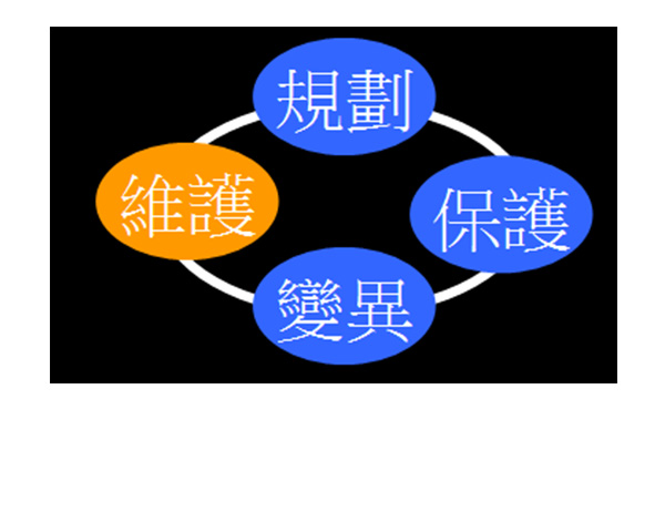 資料庫維護-DB效能進階調校服務