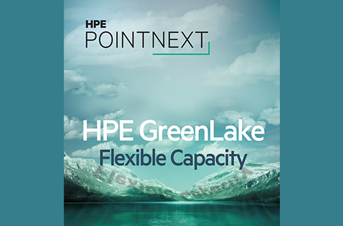 HPE GreenLake Flex Capacity